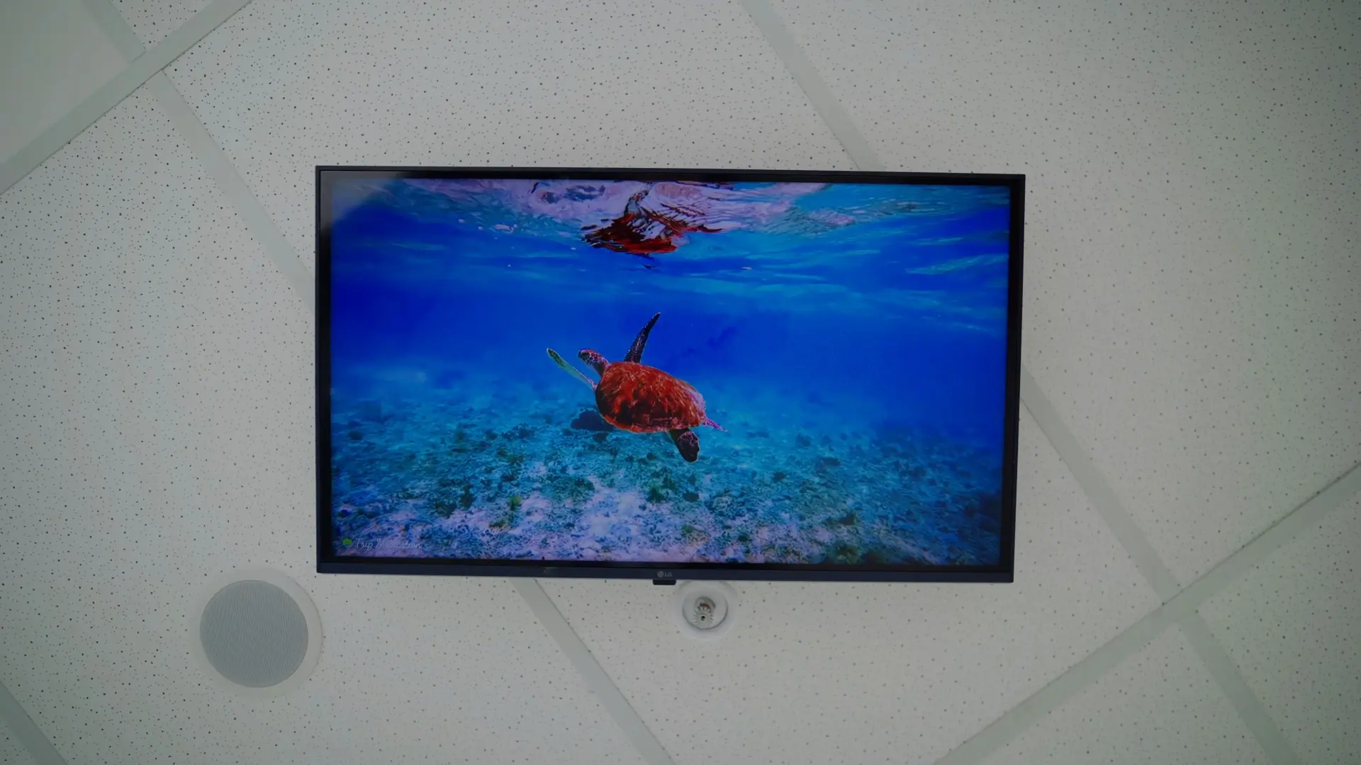 A ceiling-mounted screen showing an underwater scene above the dental chair